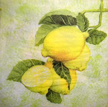 057 Lemons,  Oranges - 3 ply